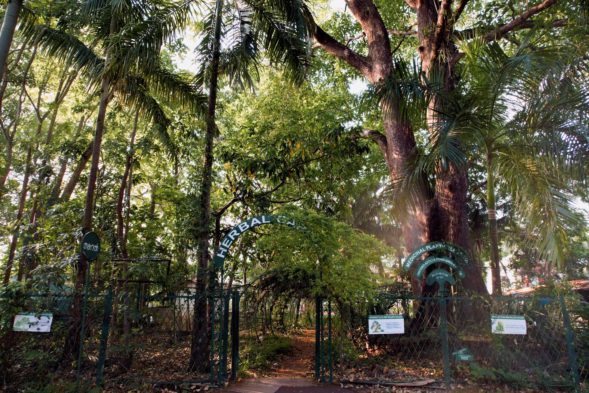 Herbal Garden - Image